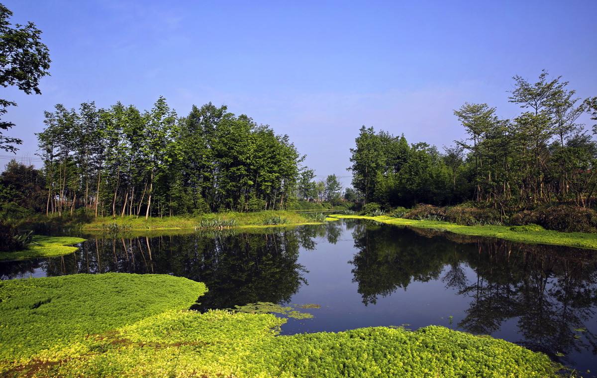 生活污水怎么處理？人工濕地or生活污水處理設備？