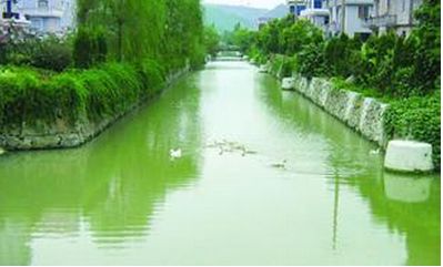 農(nóng)村建了“吃”污水“吐”清水的污水處理站，生活污水不再“無家可歸”