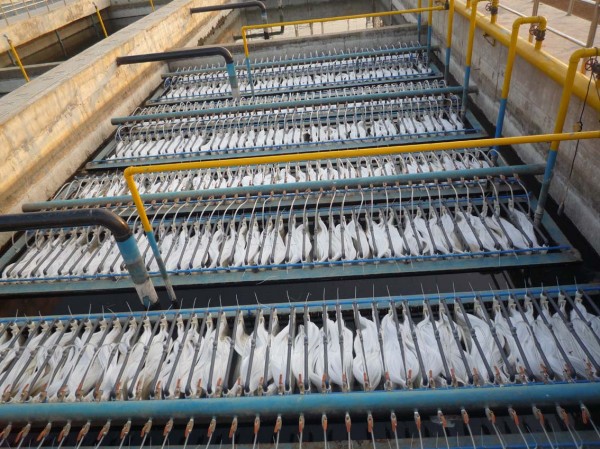 高濃度有機(jī)廢水對(duì)環(huán)境的危害以及治理方法